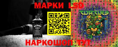 ГАЛЛЮЦИНОГЕННЫЕ ГРИБЫ Кунгур