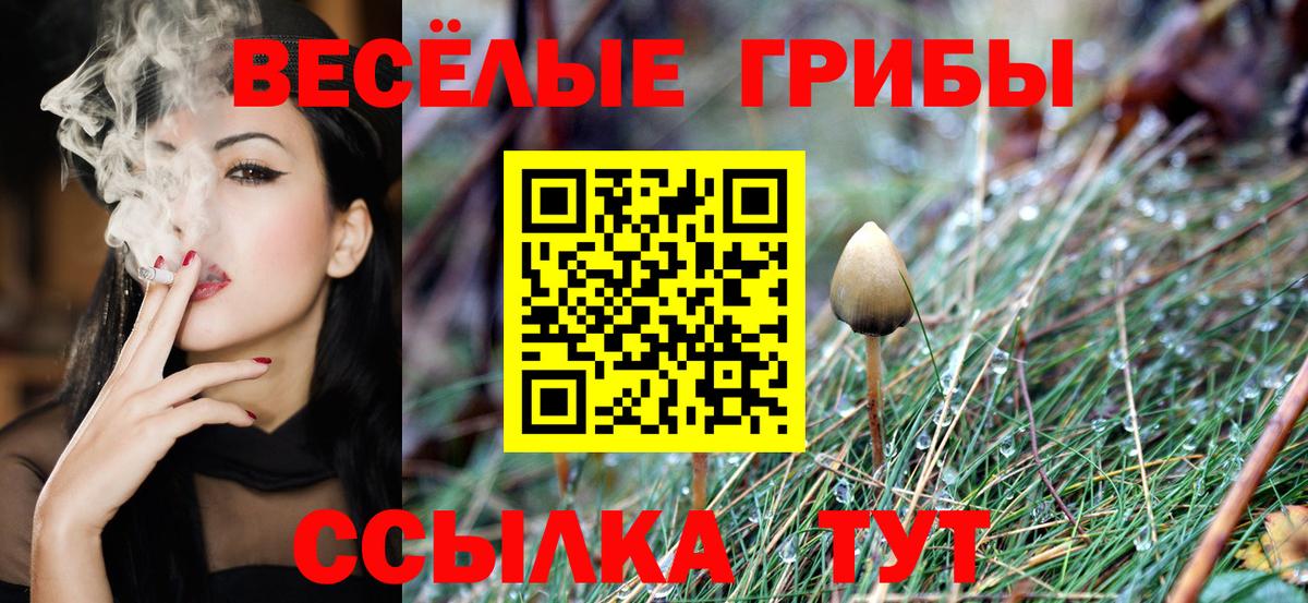 Псилоцибиновые грибы прущие грибы Златоуст
