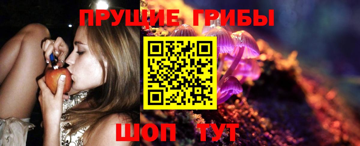 Псилоцибиновые грибы MAGIC MUSHROOMS  Вход с VPN  Златоуст 